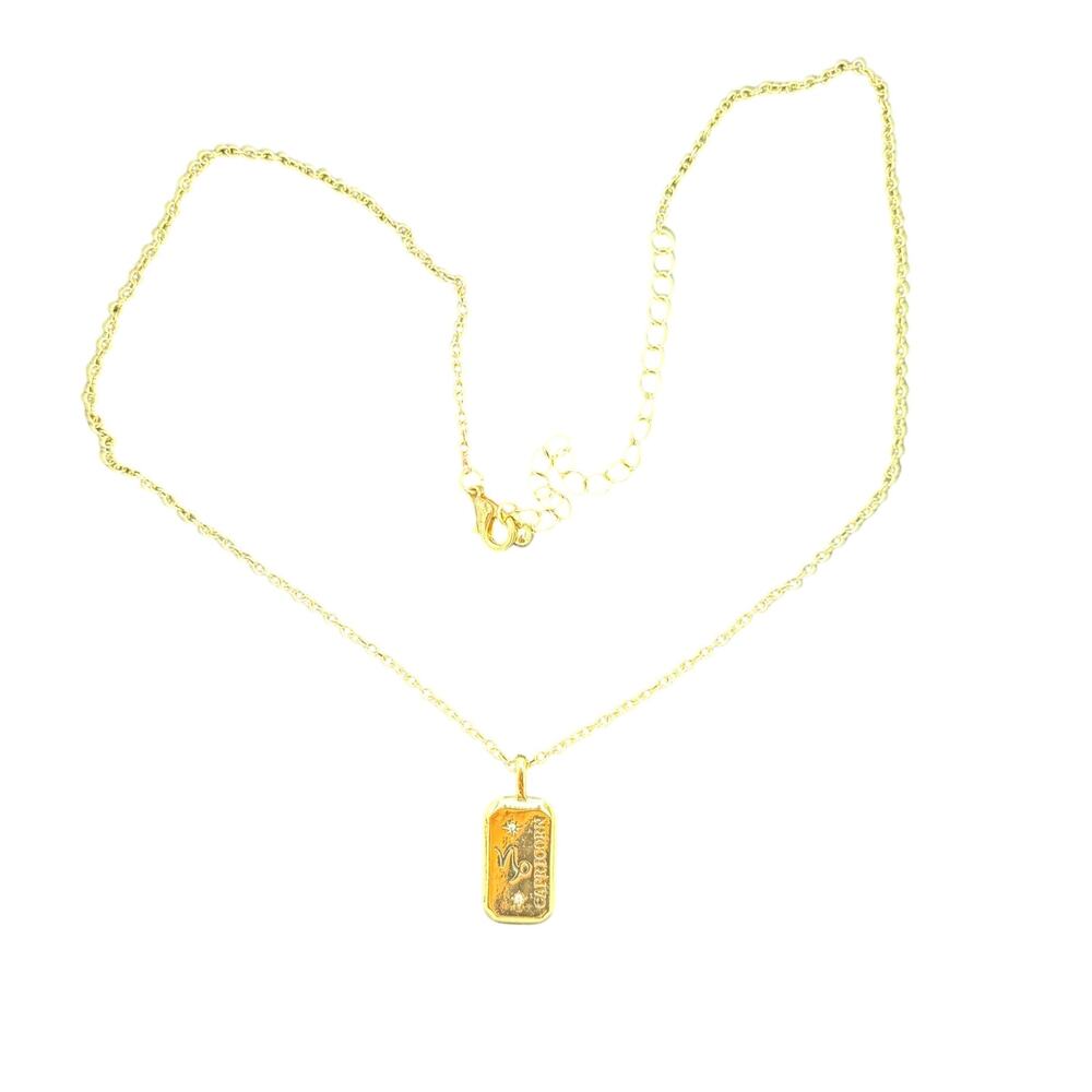 Vintage Gold Capricorn Zodiac Tag Pendant Necklace Patient Fearless Ambitious